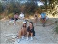 Les Gorges du Toulourenc (5)