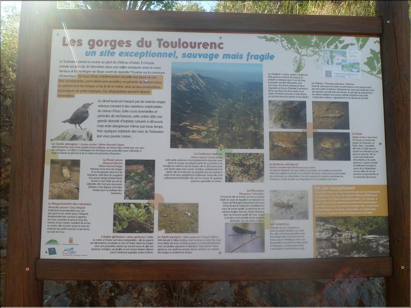 Les Gorges du Toulourenc (7)