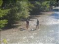 Les Gorges du Toulourenc (8)