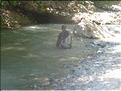 Les Gorges du Toulourenc (96)